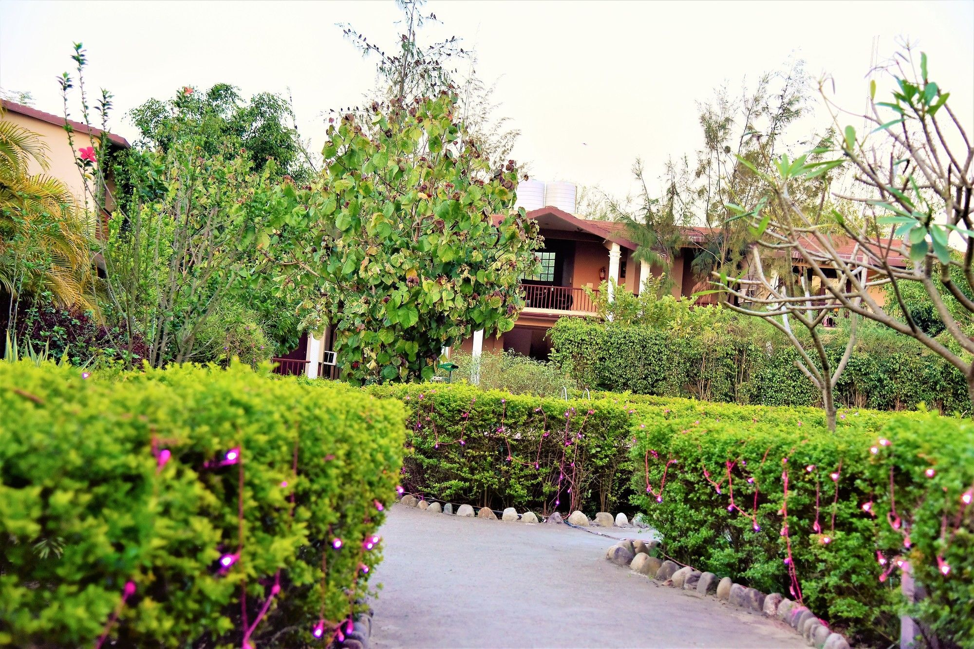 Palette Alaya Resort, Corbett Nainital Exterior photo